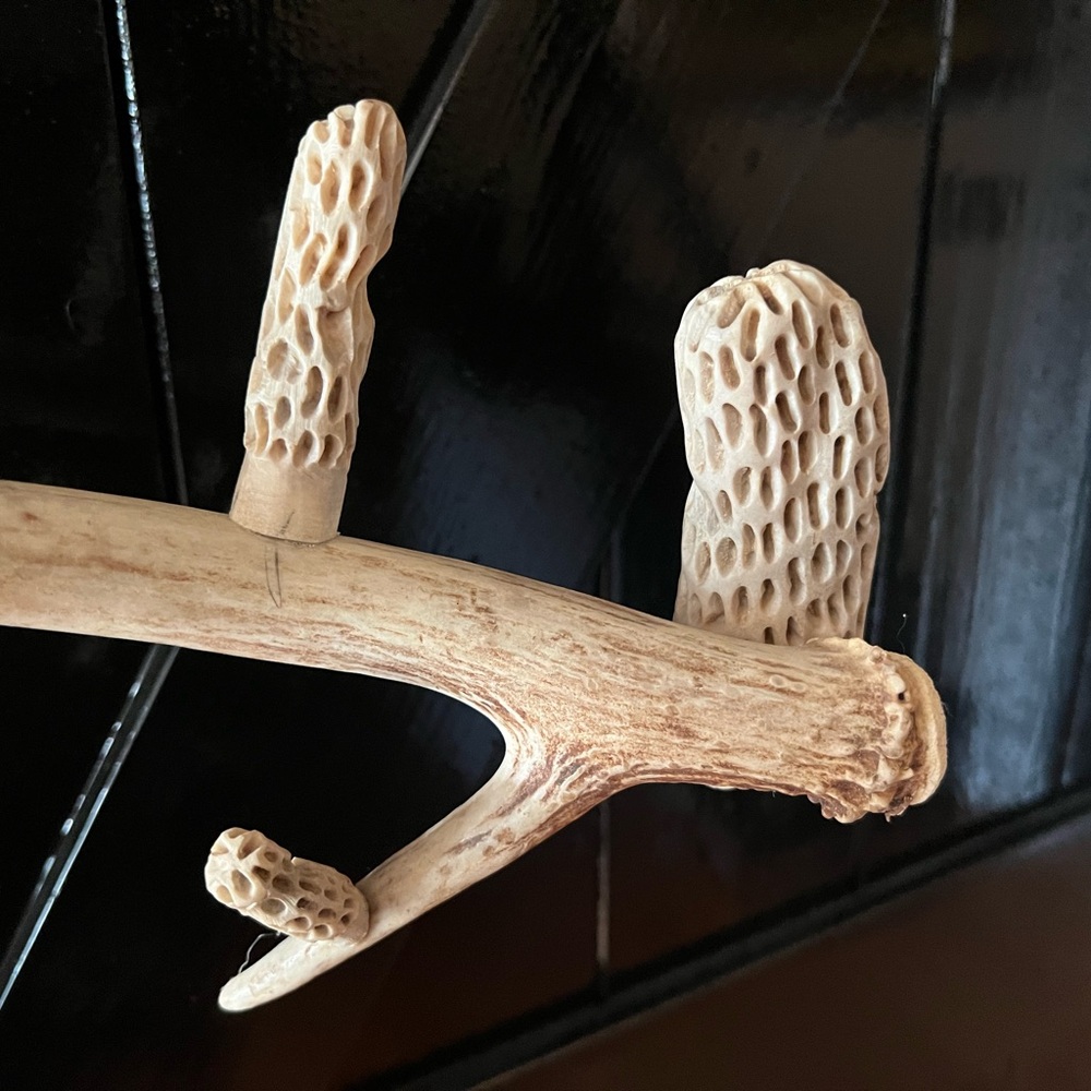 Folk Art Whitetail Shed Antler with hand carved morel mushrooms. - Picture 2 of 11